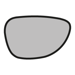 Prescription Lenses